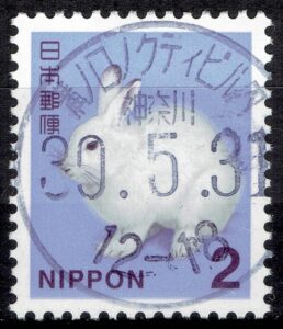 神奈川溝ノ口ノクティビル内局