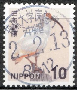 沖縄琉球大学病院内局